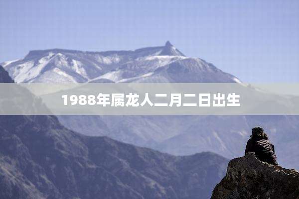 1988年属龙人二月二日出生
