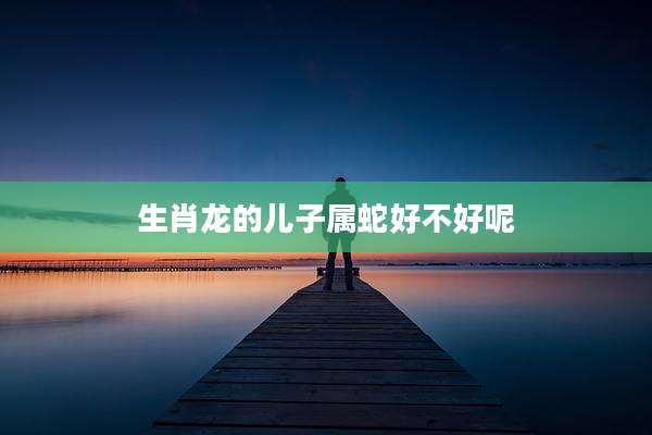 生肖龙的儿子属蛇好不好呢