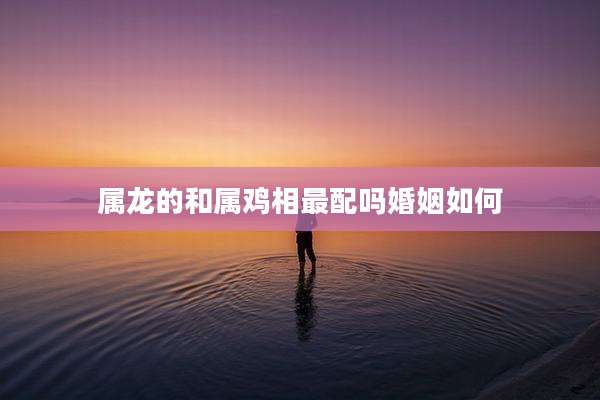 属龙的和属鸡相最配吗婚姻如何