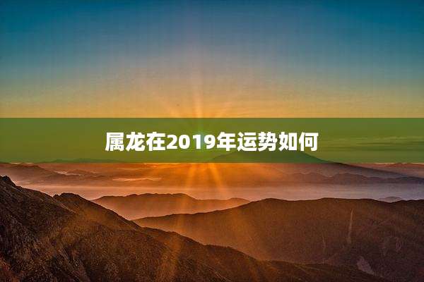 属龙在2019年运势如何