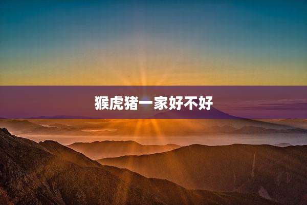 猴虎猪一家好不好