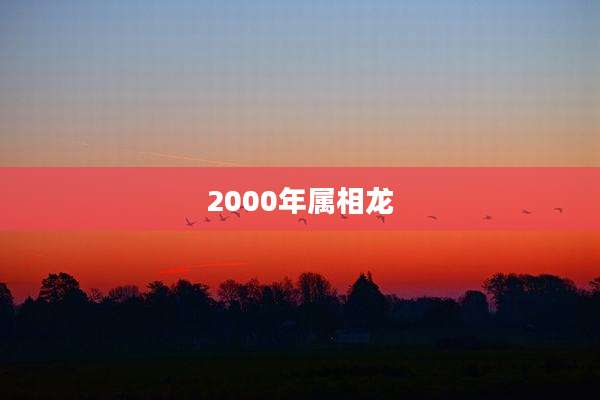 2000年属相龙