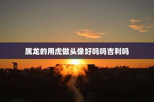 属龙的用虎做头像好吗吗吉利吗