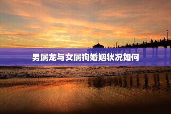 男属龙与女属狗婚姻状况如何