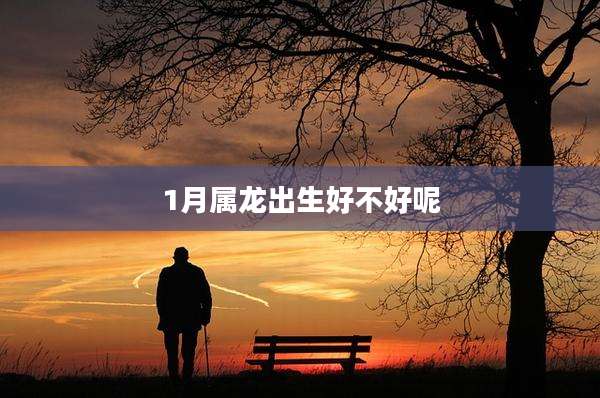 1月属龙出生好不好呢