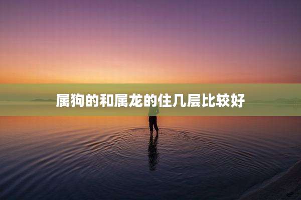 属狗的和属龙的住几层比较好