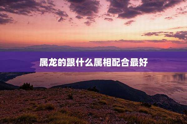 属龙的跟什么属相配合最好