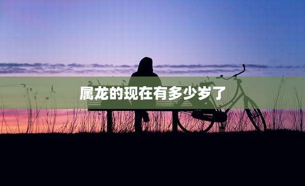 属龙的现在有多少岁了