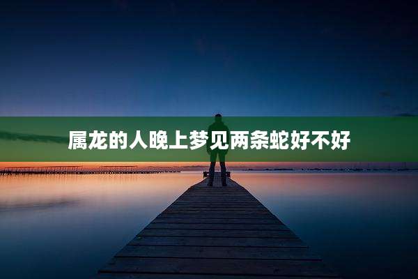 属龙的人晚上梦见两条蛇好不好