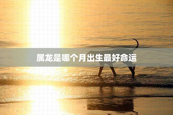属龙是哪个月出生最好命运