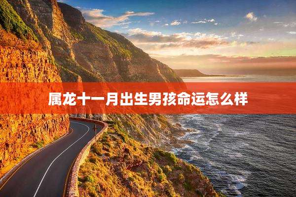 属龙十一月出生男孩命运怎么样