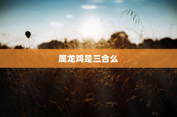 属龙鸡是三合么