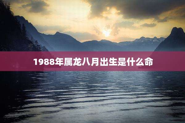 1988年属龙八月出生是什么命