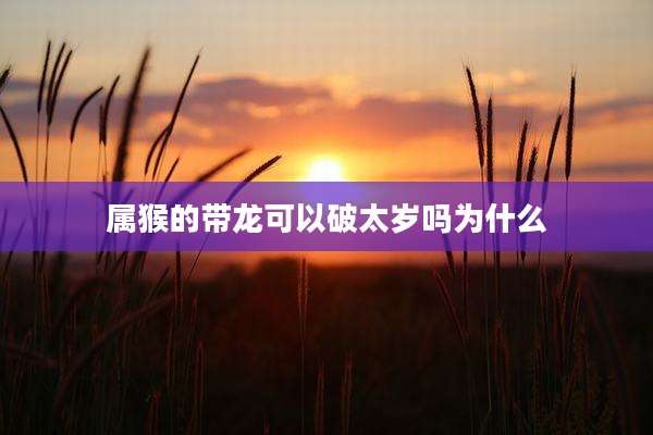 属猴的带龙可以破太岁吗为什么