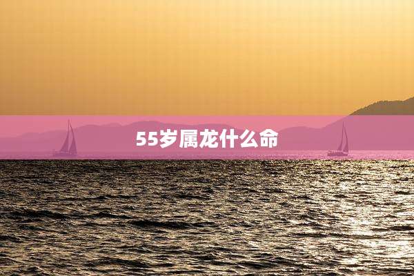 55岁属龙什么命