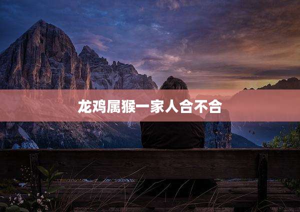 龙鸡属猴一家人合不合