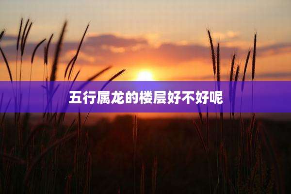 五行属龙的楼层好不好呢