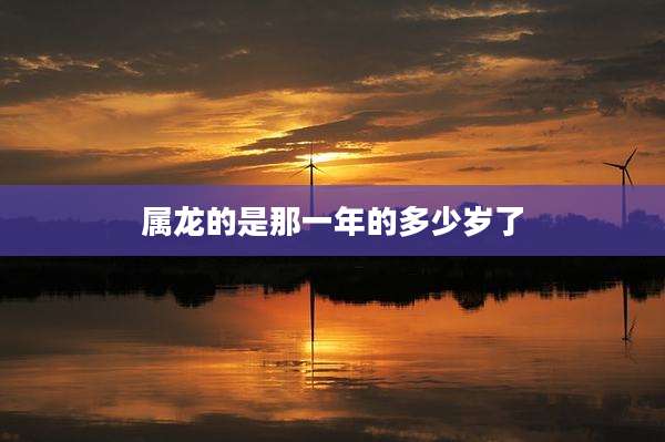 属龙的是那一年的多少岁了