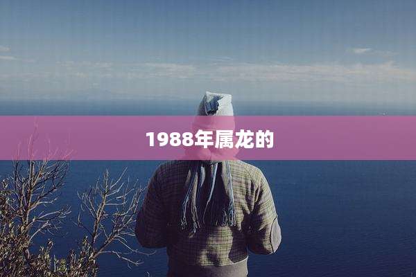 1988年属龙的