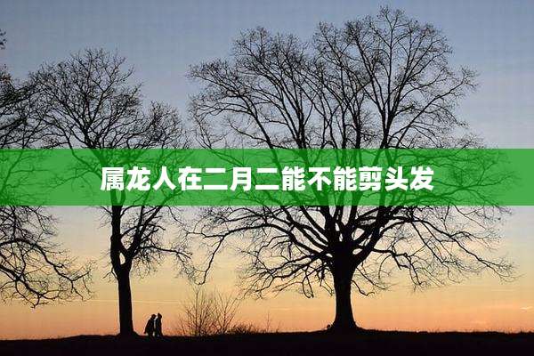 属龙人在二月二能不能剪头发