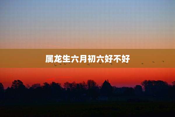 属龙生六月初六好不好