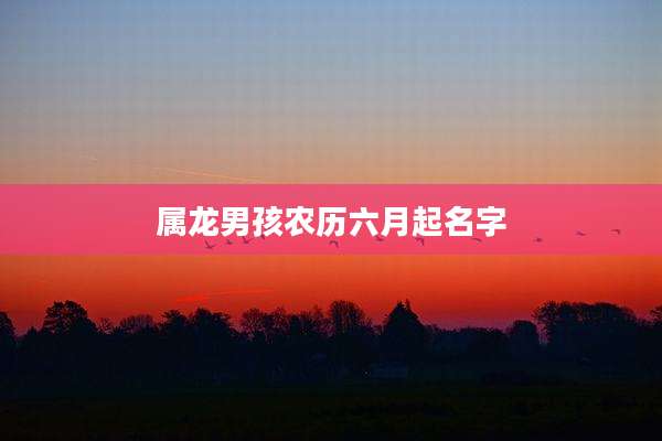 属龙男孩农历六月起名字