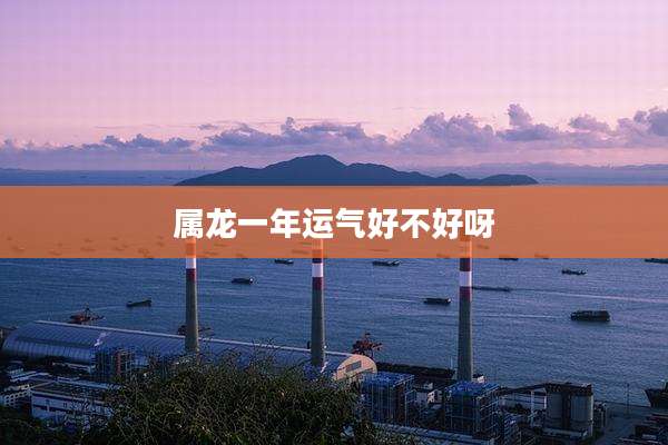 属龙一年运气好不好呀
