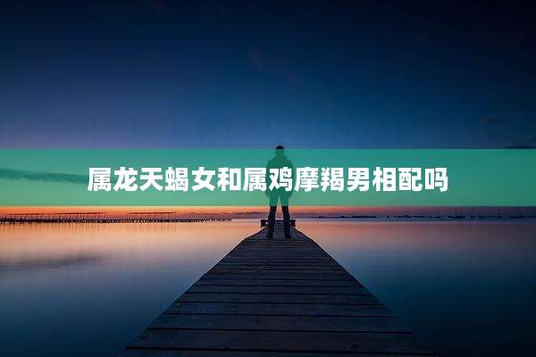 属龙天蝎女和属鸡摩羯男相配吗