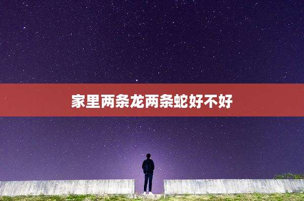 家里两条龙两条蛇好不好