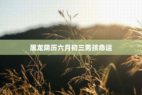 属龙阴历六月初三男孩命运