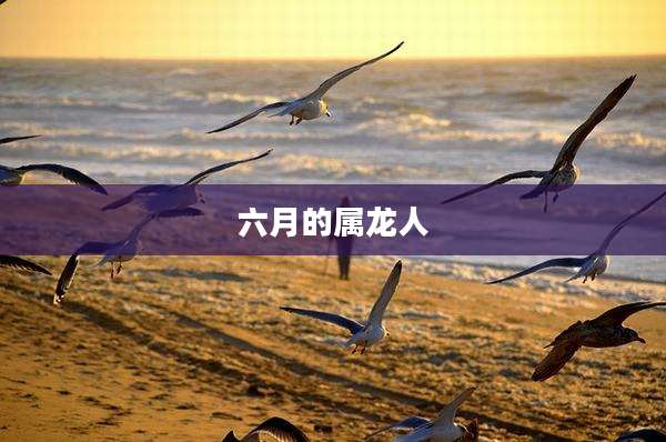 六月的属龙人