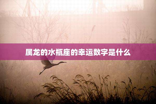 属龙的水瓶座的幸运数字是什么