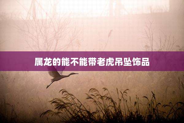 属龙的能不能带老虎吊坠饰品