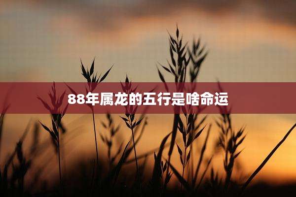 88年属龙的五行是啥命运