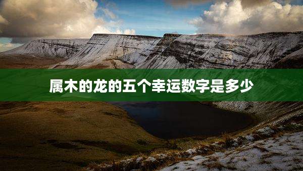 属木的龙的五个幸运数字是多少