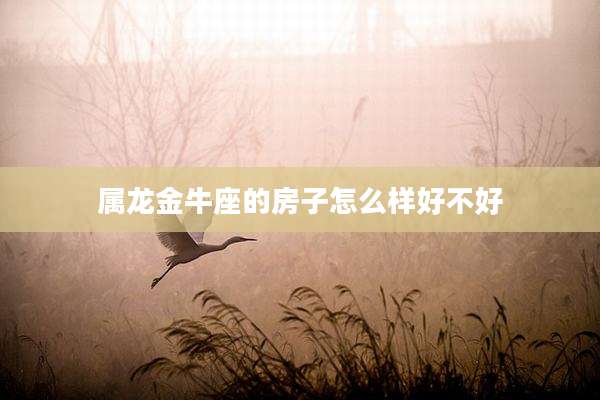 属龙金牛座的房子怎么样好不好