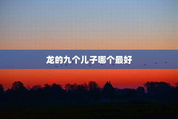 龙的九个儿子哪个最好