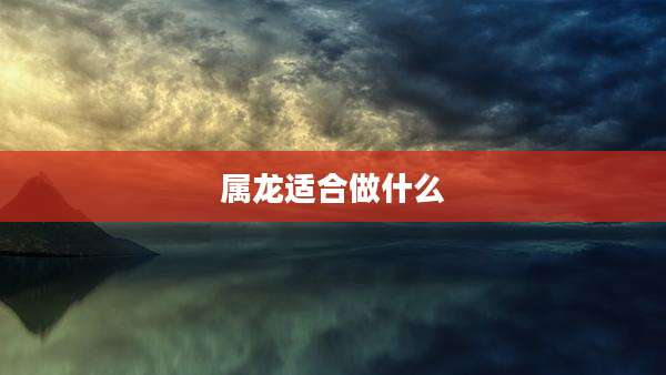 属龙适合做什么