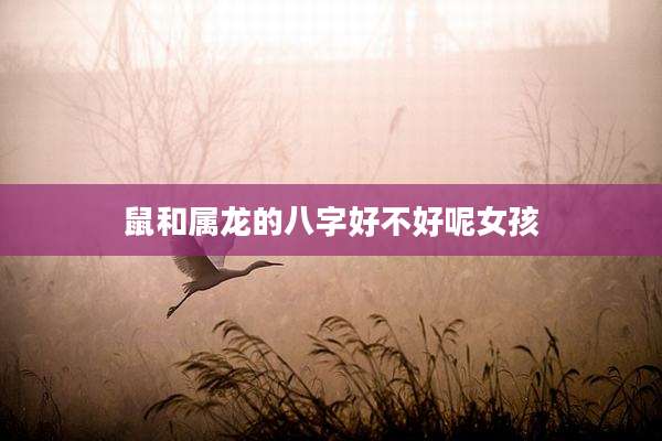 鼠和属龙的八字好不好呢女孩