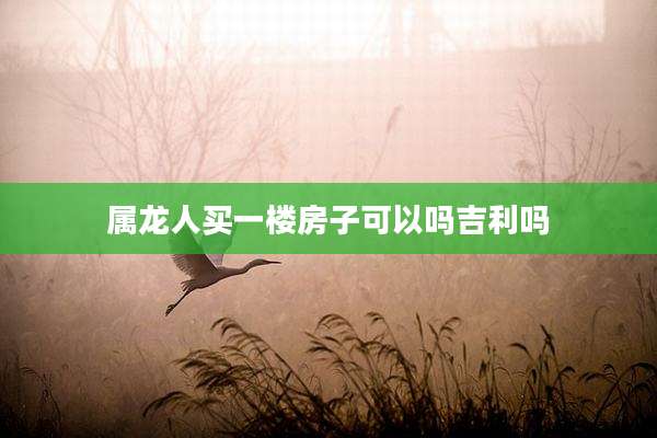 属龙人买一楼房子可以吗吉利吗