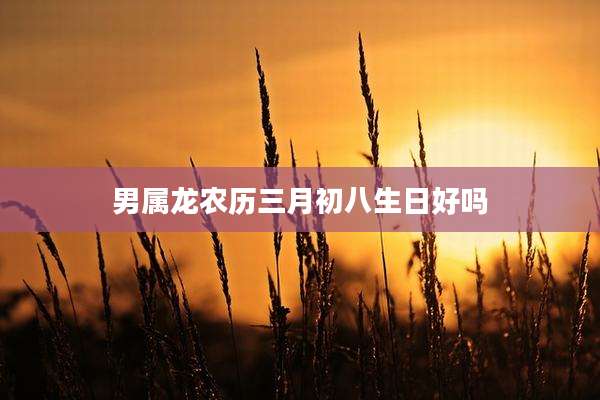 男属龙农历三月初八生日好吗