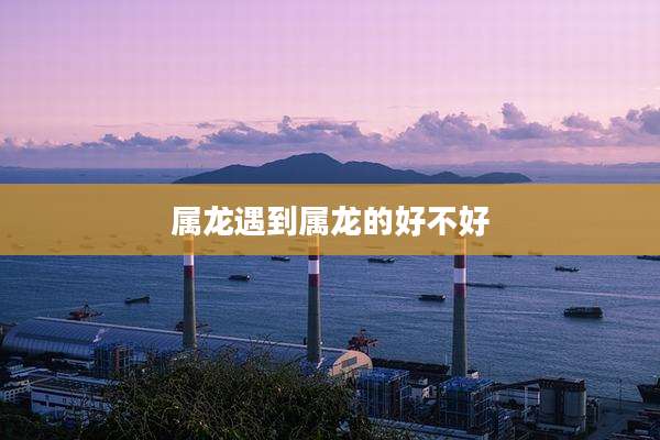 属龙遇到属龙的好不好