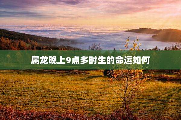 属龙晚上9点多时生的命运如何