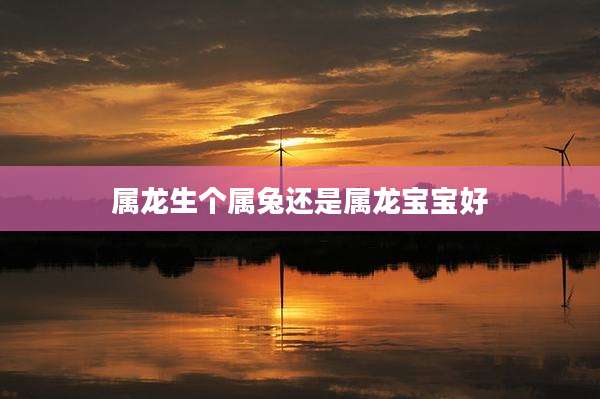 属龙生个属兔还是属龙宝宝好