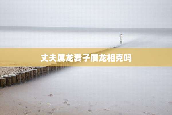 丈夫属龙妻子属龙相克吗