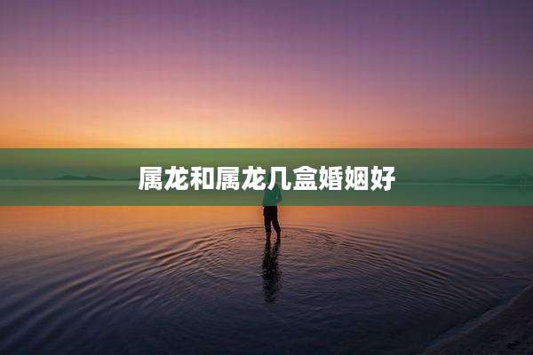 属龙和属龙几盒婚姻好