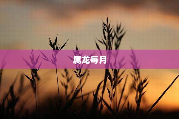 属龙每月