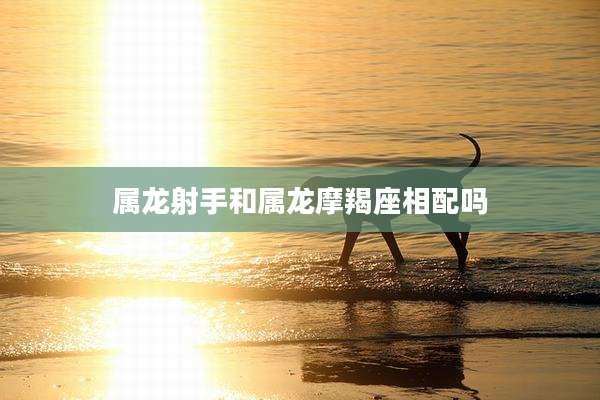 属龙射手和属龙摩羯座相配吗