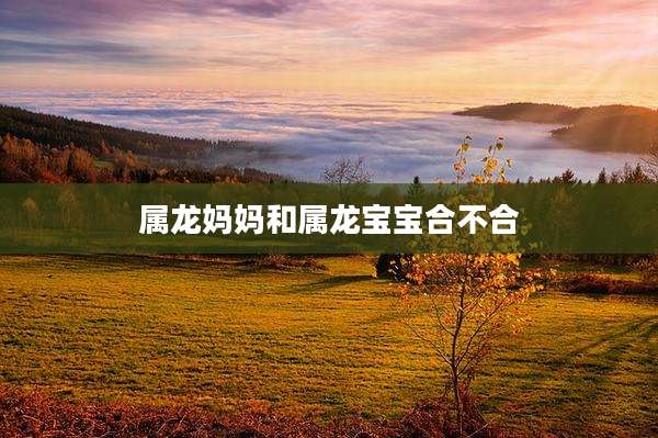 属龙妈妈和属龙宝宝合不合