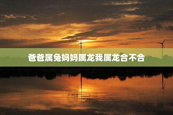 爸爸属兔妈妈属龙我属龙合不合